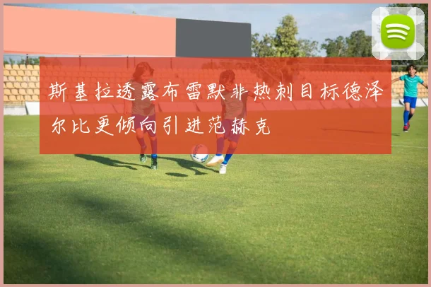 斯基拉透露布雷默非热刺目标德泽尔比更倾向引进范赫克