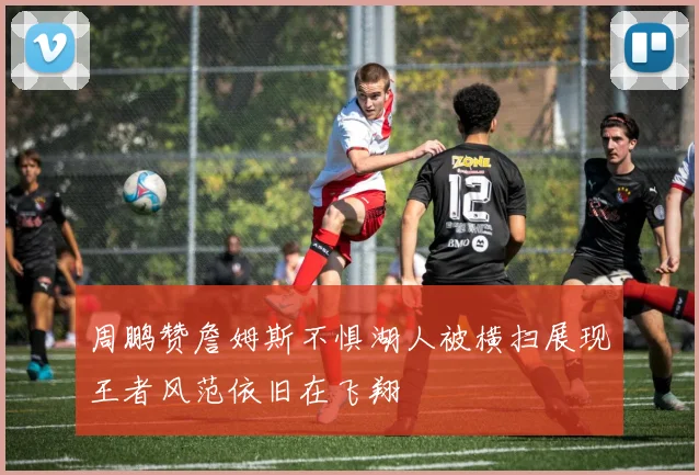周鹏赞詹姆斯不惧湖人被横扫展现王者风范依旧在飞翔